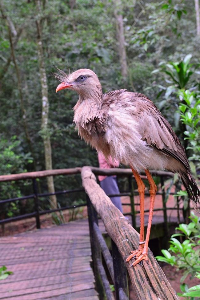 すぐ傍に留まっています