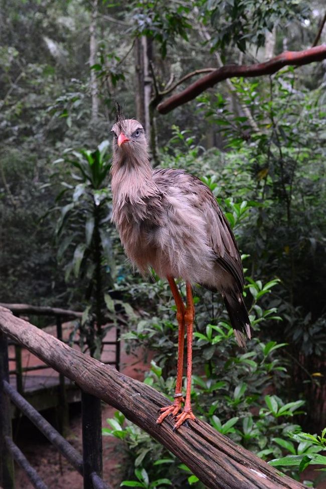 目が合うとちょっと怖いです。
