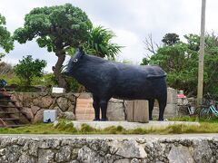 黒島港の近くには牛の置物があります
流石牛の島ｗ