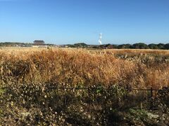 近鉄に乗って天理まで。
途中 大和西大寺で乗り換えるのですが
朱雀門がみえました。
ススキが綺麗ね〜と
話して降りる準備をしていたら
駅名が違う…
西大寺で降りる時は
朱雀門がみえたらアカンかったんや！
と、解りました。

一駅戻りましたが、西大寺での
乗り継ぎが長かった為
当初の予定の電車に間に合いました。
良かった。^^
