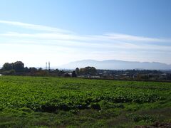 あちらは何山？
生駒山系かな？？
山裾が霞んでて
日本画にでて来そうな景色…
