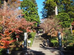 帰るにしてはまだ13時半だったので
北鎌倉へ。円覚寺門前の紅葉は完全に
見頃すぎ。３日に訪れた母が中も
そろそろ終わりと言う事でした。