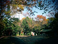 ハニー・トラップに見事に掴まってしまったが、どうにか愛宕山の山頂へと上り詰めた。

山頂には愛宕神社があるので、まずは神社の神様にご挨拶。
