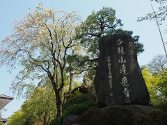 『少林山達磨寺』

高崎だるまの発祥のお寺です。
