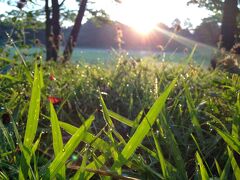【二日目：2014-08-22】

[5時00分]

近くの公園を散歩。
東京よりも過ごしやすい気温で、草木に朝露。