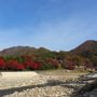 琵琶湖ぐるっと一周 ～ 紅葉ドライブ　～　２日目は。。。“永源寺と教林坊の紅葉を愛でました～”