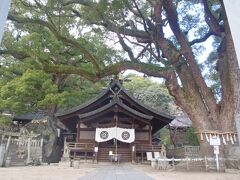 艮神社。
立派な楠は樹齢９００年とか。
ものすごい雰囲気のある場所です。

ちなみに昨日乗ったロープウェイの乗り場のすぐ脇です。