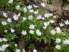 アンヌボア城に３時半頃着きました。