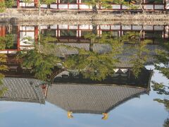 東大寺の鏡池。
風もなく綺麗な鏡になってました。