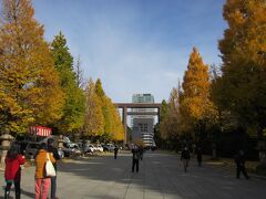 ○おまけ○
北の丸公園を通って靖国神社まで歩いてみました。今回のテーマが紅葉(こうよう)なので、こちらの銀杏の紅葉(こうよう)もご覧ください。