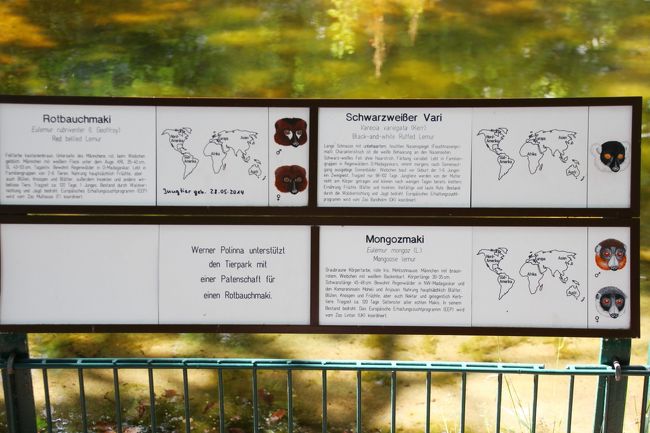 2014年ドイツ旅行～12年ぶりの再訪～【第４日目：ベルリン観光３日目】（２）東ベルリン動物園Tierpark（前編）初めて会う海外のレッサーパンダはシセンレッサーパンダによく似たニシレッサーパンダ@