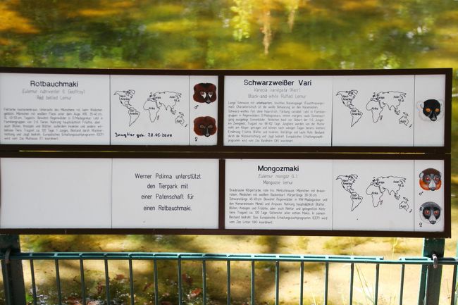 2014年ドイツ旅行~12年ぶりの再訪~【第4日目:ベルリン観光3日目】(2)東ベルリン動物園Tierpark(前編)初めて会う海外のレッサーパンダはシセンレッサーパンダによく似たニシレッサーパンダ@