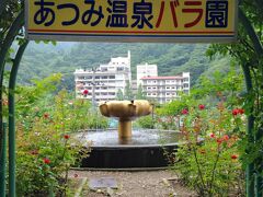 その神社にバラ園が開設されている。