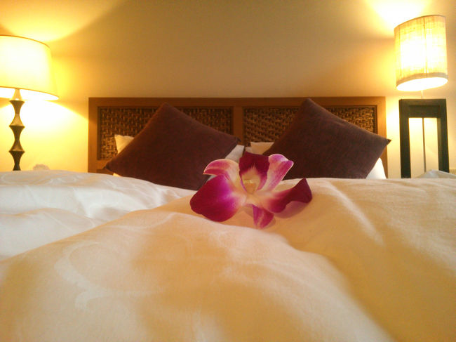 A さんはすっかり回復したようで安心しました<br /><br />すぐに自分ん家に帰る事も出来ますが<br /><br />懐かしの奈良に泊まる事にします<br />(付き合ってる人はいますが今はフリー、<br />家庭をほったらかしてる訳ではありません(汗)<br /><br />