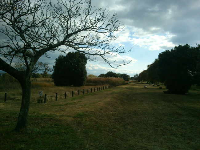 なんと広いな平城京