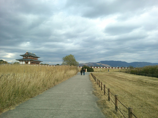 見えて来ました第一次大極殿<br /><br />正面のはげた山は若草山