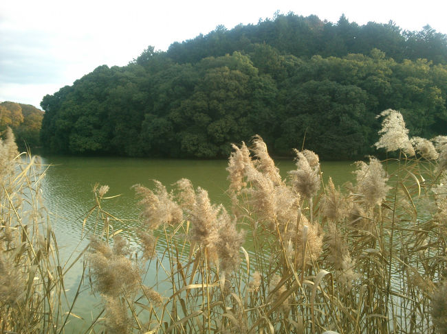 ウワナベ古墳に到着<br /><br />鍵穴形の前方後円墳<br /><br />鍵穴の頭の部分から見たところ