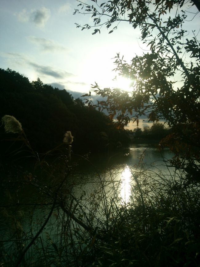 古墳の夜<br /><br />romantic！(笑)