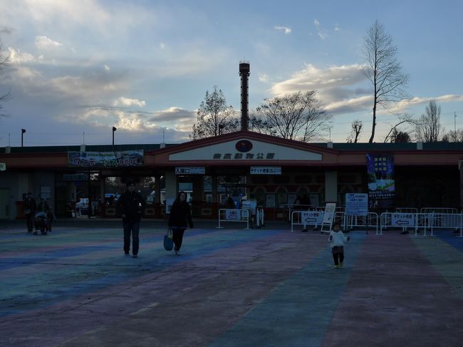 東武動物公園で イルミネーションデートをしましょう 蓮田 白岡 埼玉県 の旅行記 ブログ By かおるるるさん フォートラベル 東武動物公園で イルミネーションデートをしましょう 蓮田 白岡 埼玉県 の旅行記 ブログ By かおるるるさん フォートラベル