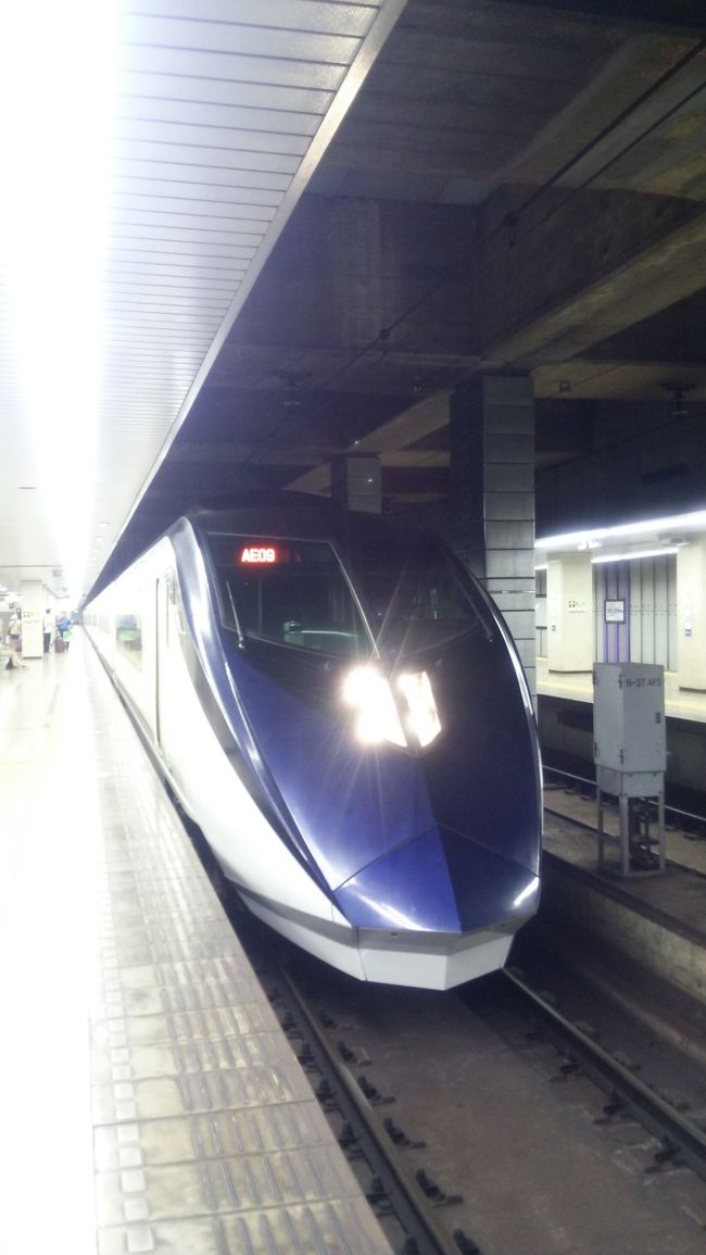 越南へ行こうと思う<br /><br />特に用事はない<br /><br />越南の汽車に乗ったとこがない<br /><br />汽車に乗ったことがないということは、その国に行ったことがないと同義である<br /><br />というので、機も熟したので行ってみようと思う<br /><br />丁度、羽田発着の西貢行きもできたのでチャンスである<br /><br />7月某日に勤務終了後、スカイライナーで出発(^_-)-☆