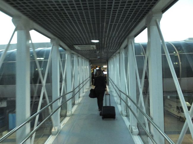 現地に住む日系人の友人が、空港に迎えに来てくれたので合流する。