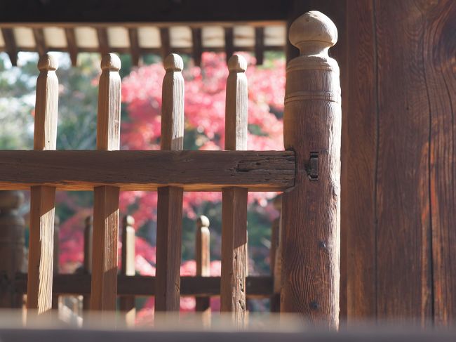 唐招提寺　礼堂(らいどう）<br /><br />朝の光が眩しい