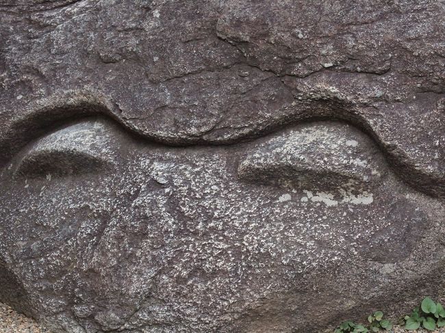 飛鳥村へ　　<br /><br />亀石に会いに来ました。アップでつぶらなお目を。<br />何だか可愛いね。