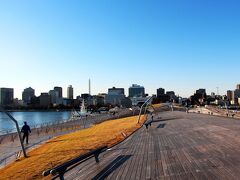 大桟橋へと向かう。
大桟橋は横浜港の国際客船ターミナルだが、その建物の上はウッドデッキになっていて、横浜港の中央付近まで歩いて行ける。

ウッドデッキの上は緩い曲線を描いていて、その形から【鯨の背中】との別名もある。

朝のランニングをする人やお散歩をする人…。
様々な人がここにいるが、みんな太陽の光を浴びて気持ちよさそう。
