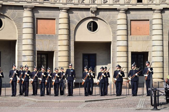 ピッとしてます