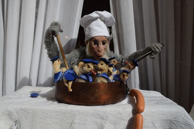 ウィンドウにて<br /><br />ははは、可愛すぎて、激写！