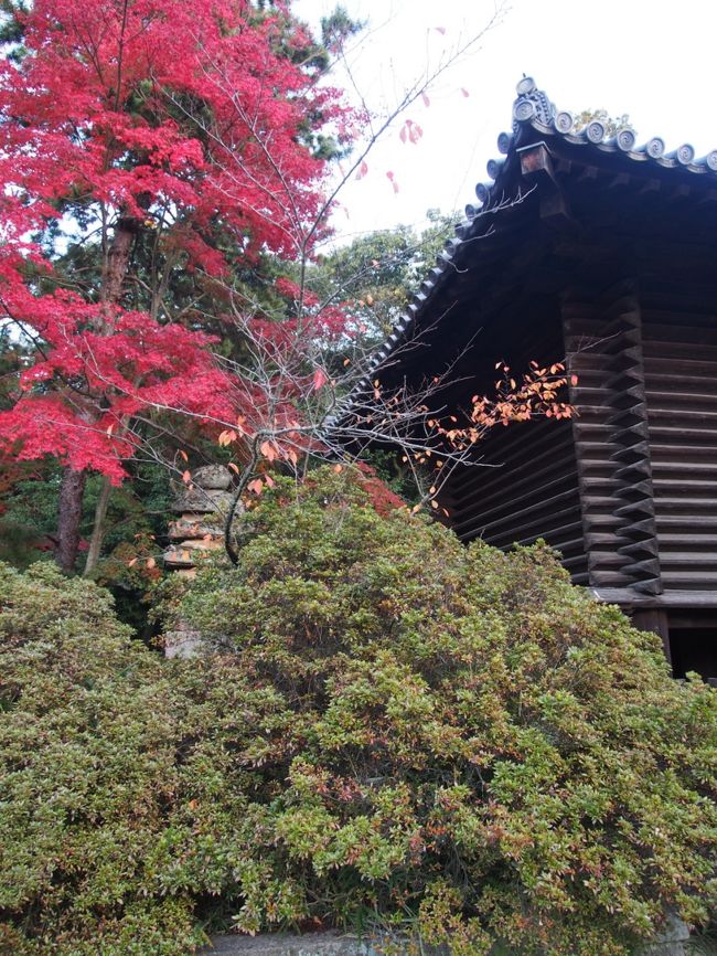 紅葉の室生寺と薬師寺 唐招提寺 室生 宇陀 奈良県 の旅行記 ブログ By Ellieさん フォートラベル