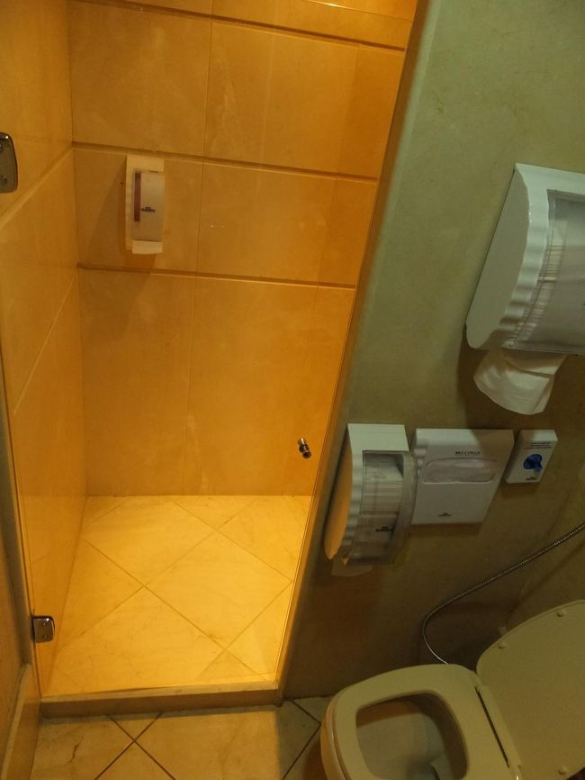 出国審査を済ませて、地下（一階かな）？、階段を下りてビジネスラウンジへ。<br />1日中観光して汗をかいたので、シャワーを浴びる。羽田やフランクフルトに比べたら少々狭いが、すぐに利用できたので良かった。すっきりして、シャンパンを飲みながら、今日撮った写真の整理を時間まで行った。Wifiも無料で利用できたので、家族にSkypeで連絡した。