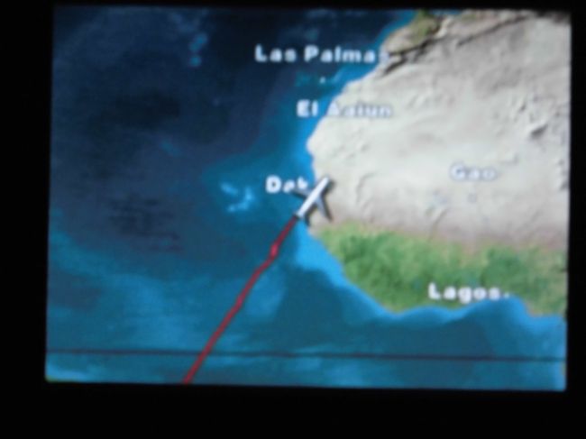 食事後、猿の惑星を見始めたら、撃沈。映画が終わる頃目が覚めたら、アフリカ大陸上空だった。