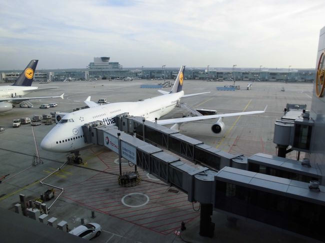 表紙の写真<br /><br />11月22日（土）<br />14:20 フランクフルトに到着。<br />リオデジャネイローフランクフルト間は最新鋭のB747-800ではなく、まだB747-400。サンパウロ線はB747-800なんだけど…