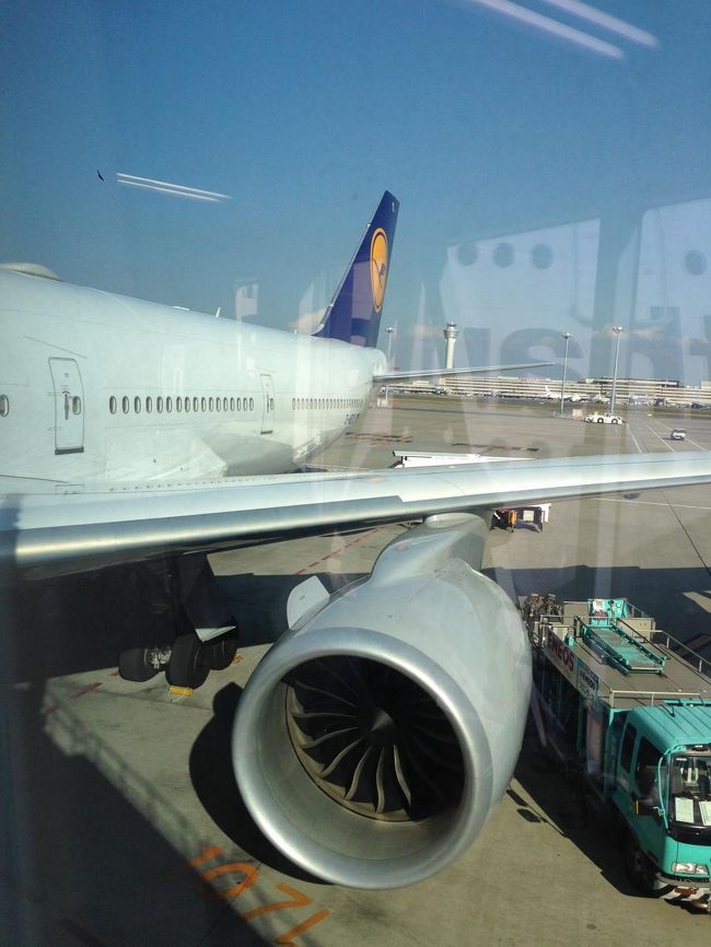 11月23日（日）<br />13：10　無事に羽田空港着