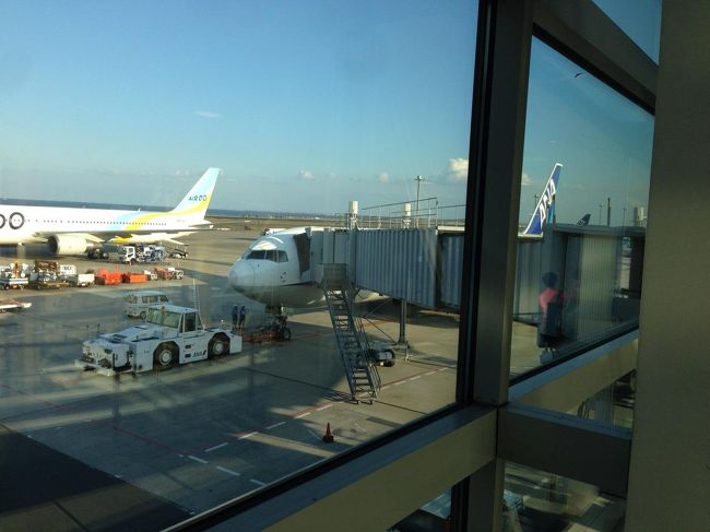 この度9回目、最後のフライト<br />羽田　15：10発　NH261<br />福岡 17：05着<br /><br />帰りのフライトは、カメラの充電が切れていたので、数が少なかった。<br />iphoneで可能な限りの撮影でした・・・<br />何はともあれ、無事に帰宅できました。<br />お疲れ様でした。