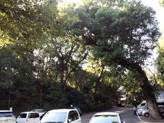 ランチを済ませて、和歌山城へ向かいます
車で１５分くらいでした
駐車場は不明門駐車場に停めました
動物園に一番近いところなので、おすすめです
１時間２００円、２時間３５０円です
