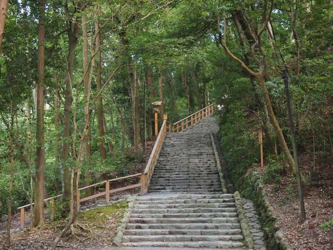 階段を上がった先には…