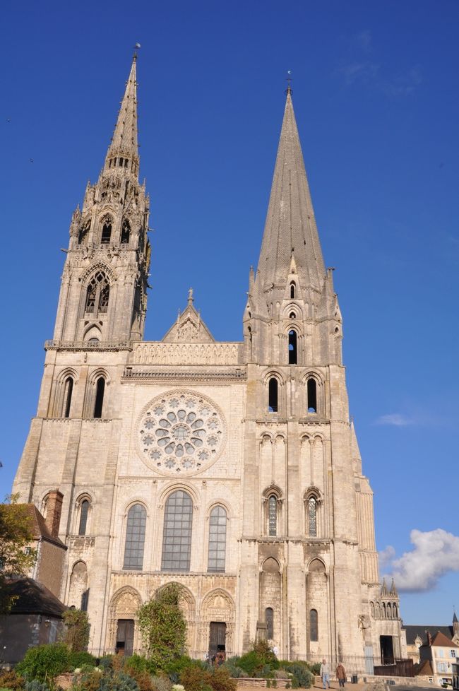 シャルトルブルーと称されるステンドクラスをお楽しみください。<br /><br />との事。