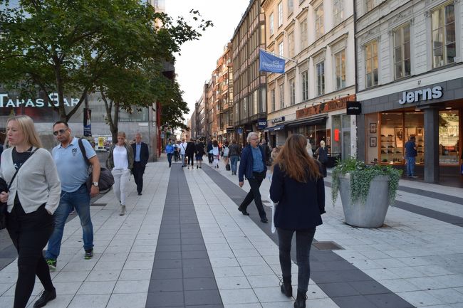 セルゲル広場(ちなみにセルゲル広場とは。。。セルゲルとは18世紀生まれの彫刻家の名前で、8万個のガラス片でつくられた「ガラスの塔」と噴水が目印の広場。。中央駅の東側にあり、フロアの白と黒のモザイク状のタイルが敷かれていてすごく斬新。広場はバスのロータリーになっていて、夜になると、ガラスの塔がライトアップされてきれい)からのびる通りは歩行者天国になっていて、賑やか