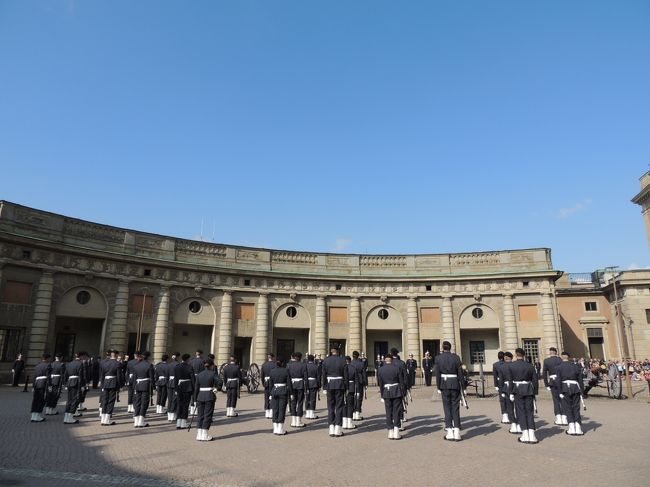 お〜、そろってる〜