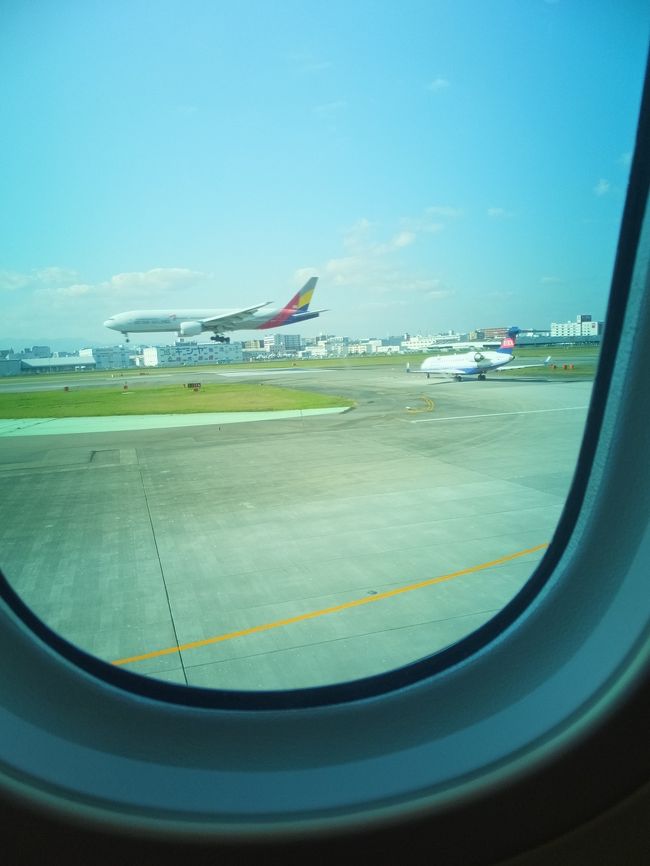 窓にはシェードがなく、電子カーテンで明るさを調整できる。