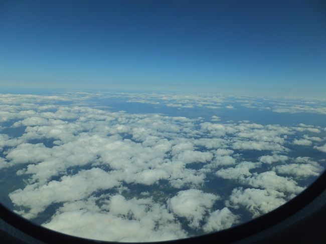 雲の上を飛行中