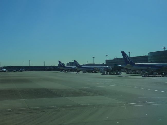 11：45　羽田到着