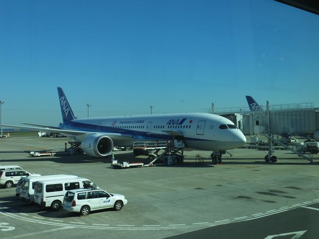 搭乗したB787<br />快適でした。