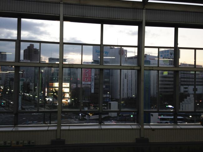 新幹線乗り場から見える、岡山市内。