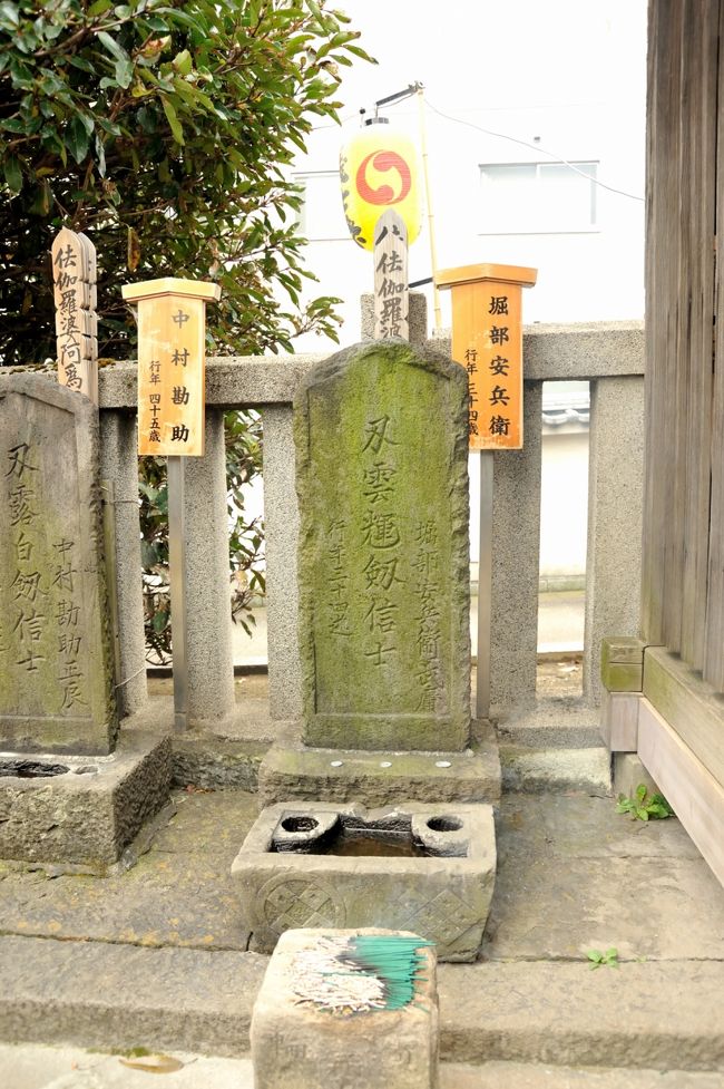 花のお江戸今昔模様 師走と云えば忠臣蔵!と 東京の夜を彩るイルミネーション目黒川に現れた青の洞窟とスカイツリーのクリスマスマッピング ★〇o〇+オォォォォ