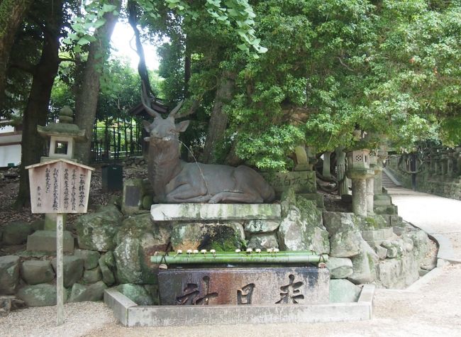 鹿の手水場？…目立つのに前行った時は気付かず通り過ぎてました。