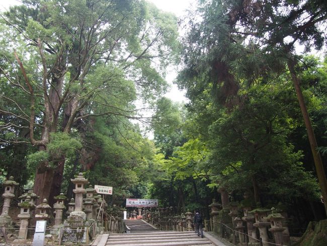 並んでる燈籠の間を抜けて行きます