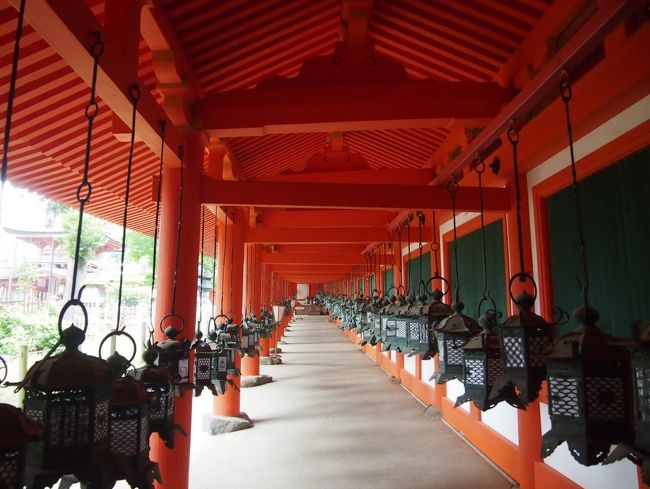 ９時前ですが本殿を参拝すること出来ました。<br /><br />燈籠の並ぶ回廊<br />